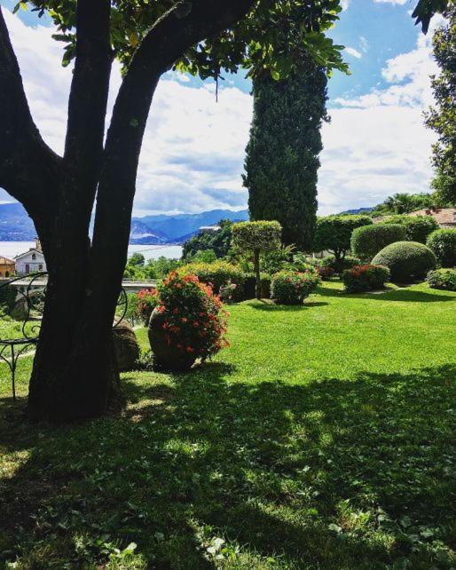 Il Motto Di Tommy Bed & Breakfast Castelveccana Exterior photo