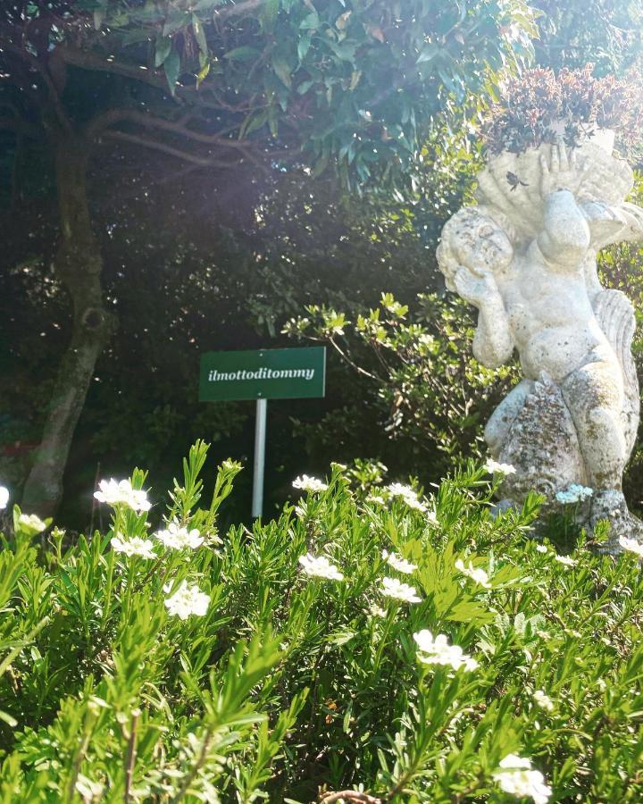 Il Motto Di Tommy Bed & Breakfast Castelveccana Exterior photo